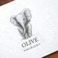 A close-up of a white textured paper card featuring a black-and-white sketch of a baby elephant above the name 'OLIVE' and the date 06.08.2026.