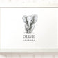 A framed personalized elephant print featuring a black and white sketch of a baby elephant with the name 'OLIVE' and date '06.08.
