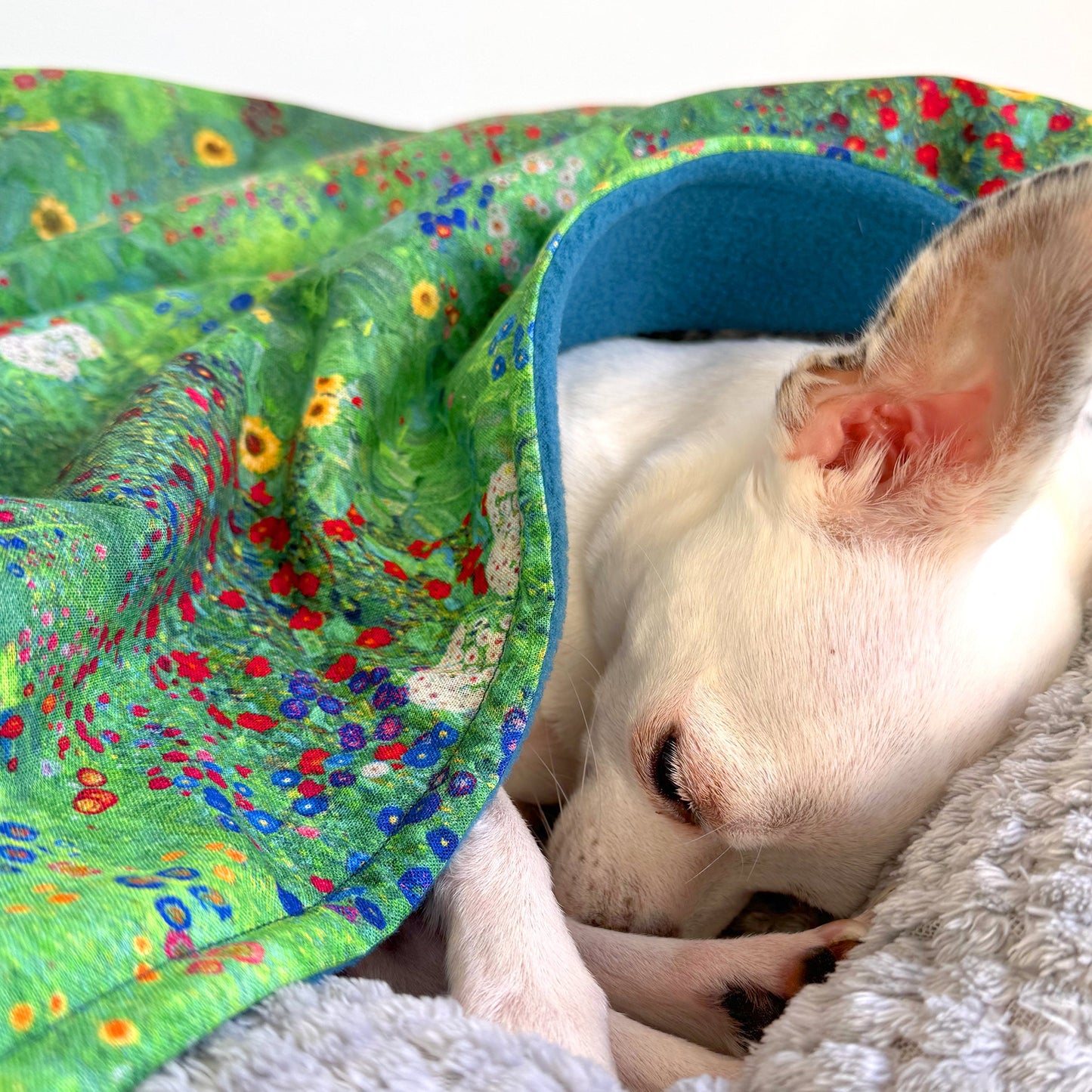 Dog sleeping under handmade floral cotton and fleece dog blanket