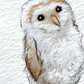Owl Personalised Baby Name Print