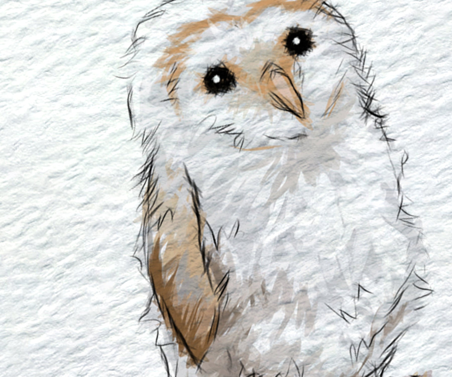 Owl Personalised Baby Name Print