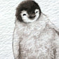 Penguin Personalised Baby Name Print