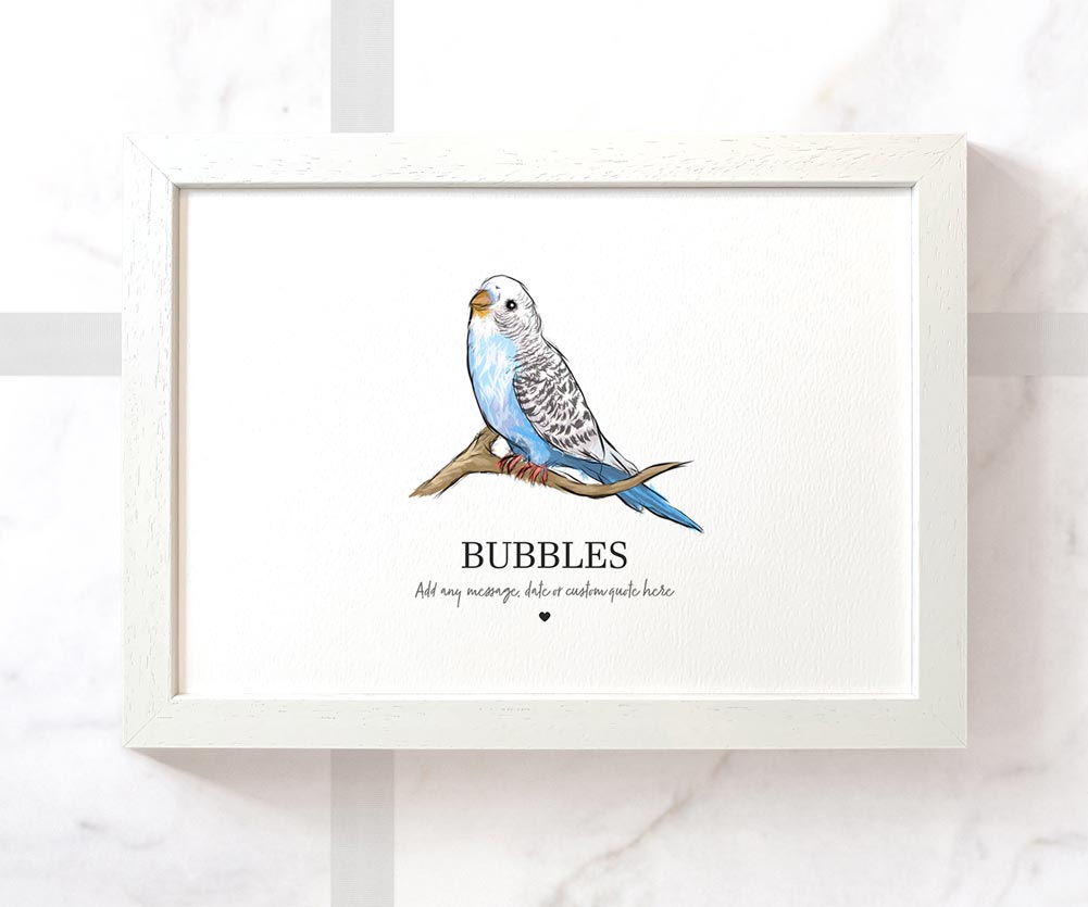 Blue budgie art print with personalized message