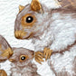 Personalised Squirrel Family Portrait