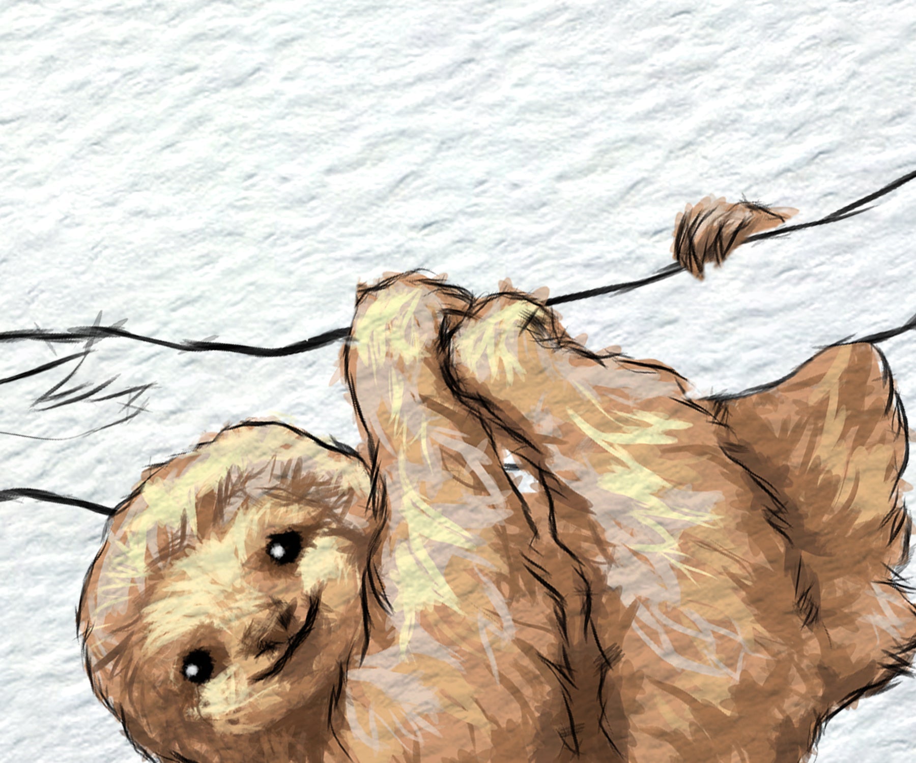 A stylized illustration of a sloth hanging from a thin black wire against a textured off-white background.