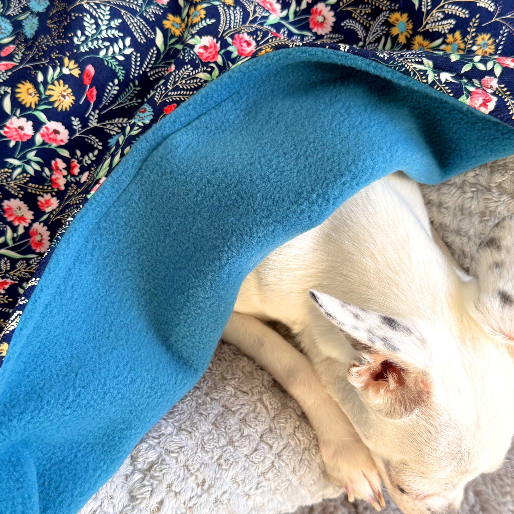 Dog resting under handmade cotton and teal fleece dog blanket showing soft underside