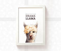 Llama Print "Don't be such a Drama Llama"