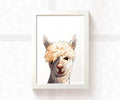 Llama Face Print