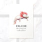 Axolotl Pink Leucistic Personalised New Pet Portrait Memorial Loss Christmas Gift Custom Wall Art Poster Print