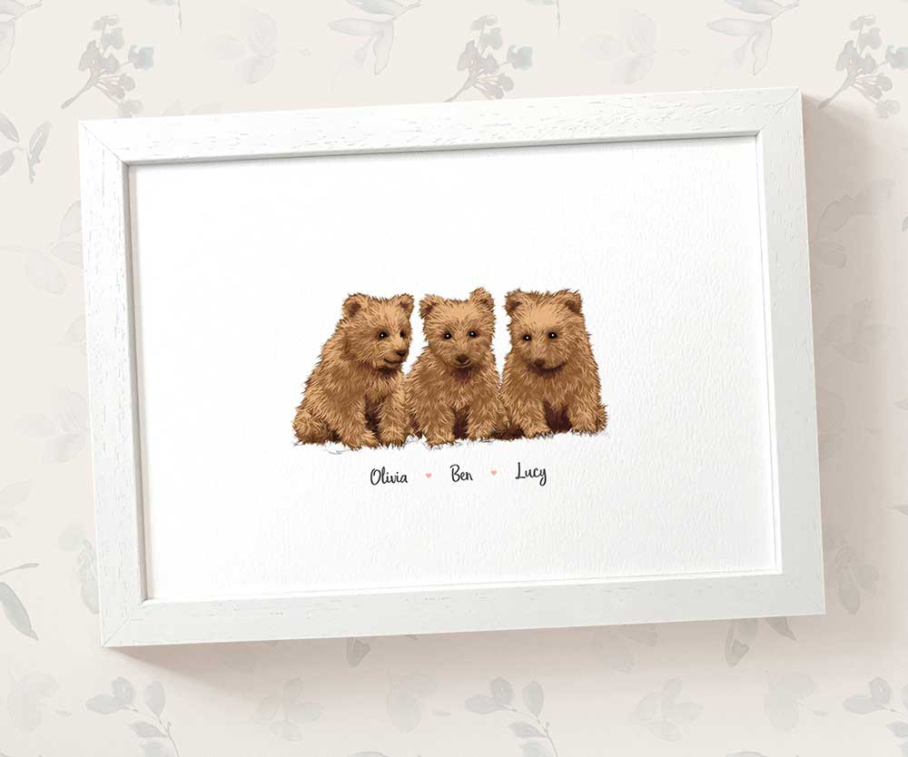 Three baby bears framed A3 family print with names for a unique baby shower gift