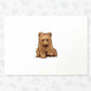 Woodland Nursery Prints New Baby Shower Gift Boy Girl Bear Animal Wall Art Set Playroom Decor