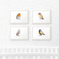 Bird Nursery Prints New Baby Shower Gift Boy Girl Childrens Wall Art Set Playroom Decor UK