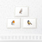 Bird Nursery Prints New Baby Shower Pregnancy Gift Boy Girl Childrens Wall Art Set Newborn Playroom