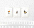 Bird Nursery Prints Set of 3