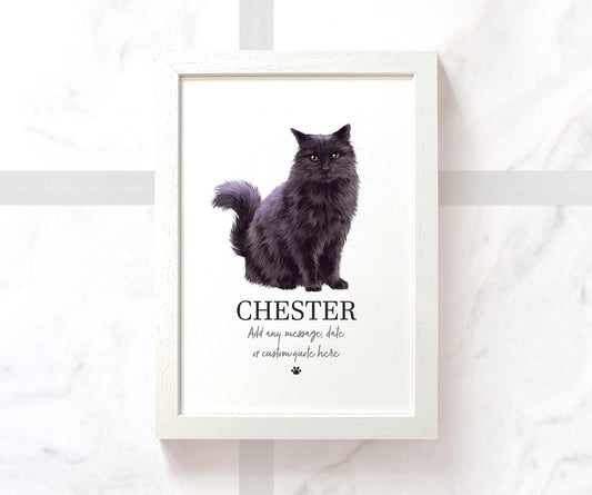 Black Cat Maine Coon Pet Portrait Memorial Loss Birthday Christmas Gift Name Sign Personalised Framed Print