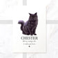 Black Cat Kitten New Pet Portrait Maine Coon Christmas Birthday Gift Name Custom Wall Art Print