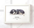 Black & White Border Collie Personalised Print