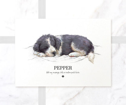 Border Collie Dog Black White New Pet Portrait Memorial Loss Christmas Gift Custom Wall Art Print