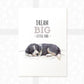 Border Collie Dog  Nursery Print "Dream Big Little One"