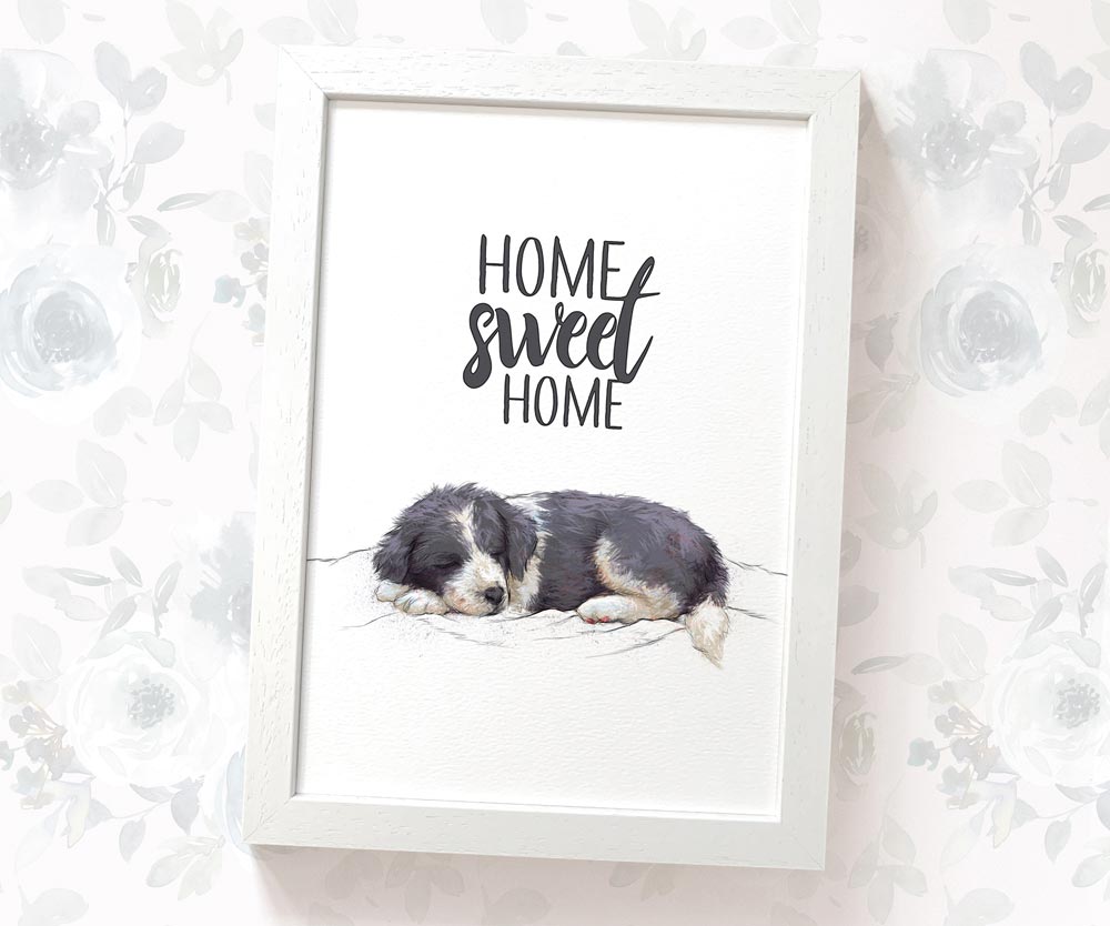 Border Collie Dog Print "Home Sweet Home"