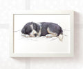 Border Collie Puppy Animal Print