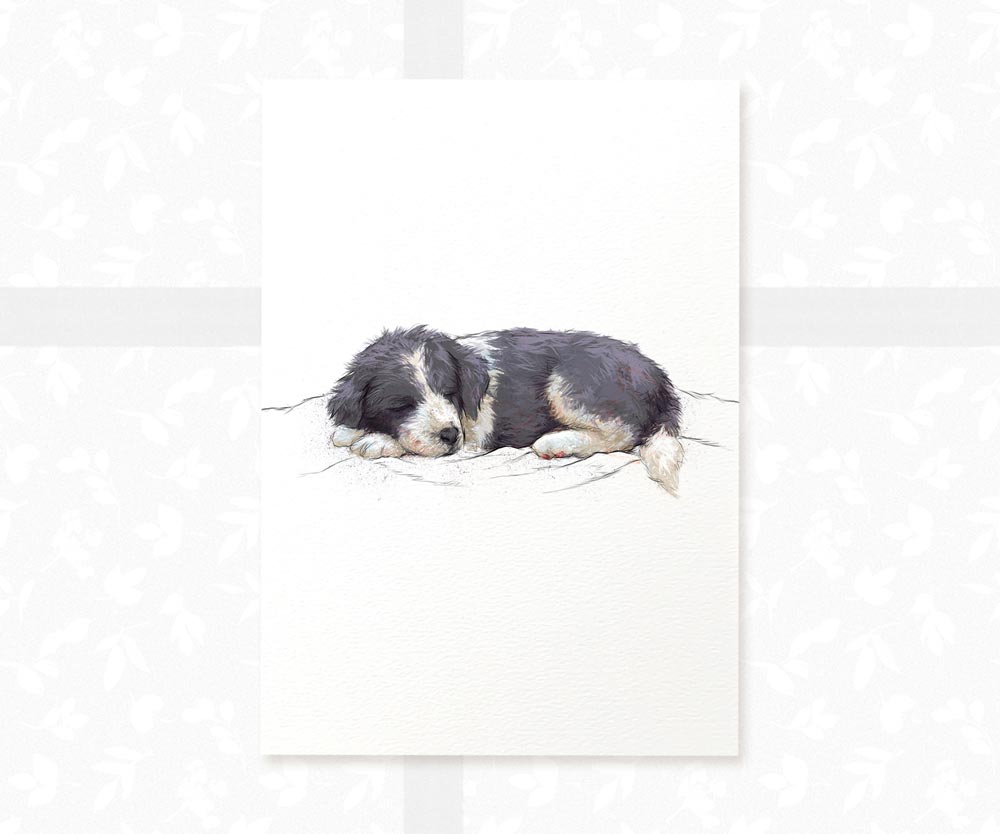 Border Collie Puppy Animal Print