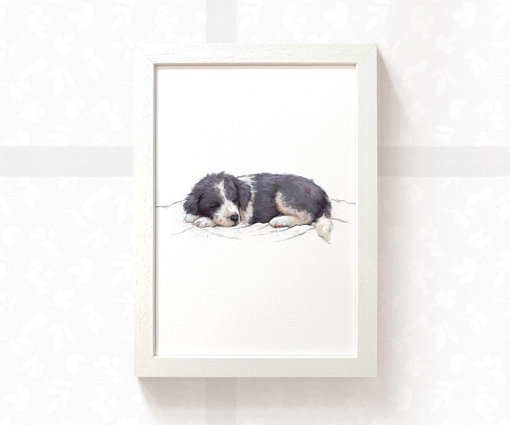 Border Collie Puppy Animal Print