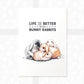 Four Rabbits Print "Life is better with Bunny Rabbits"