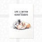 Three Rabbits Print "Life is better with Bunny Rabbits"