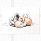 Rabbit Family of Four Print