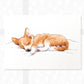 Corgi Sleeping Print