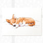 Dog Nursery Prints New Baby Shower Gift Boy Girl Corgi Lover Sleeping Wall Art Playroom Decor