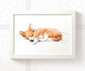 Corgi Sleeping Print