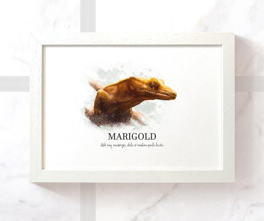 Crested Gecko Reptile Pet Portrait Memorial Loss Birthday Christmas Gift Name Sign Personalised Framed Art Print