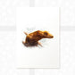 Crested Gecko Art Print | Lizard Print