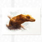 Crested Gecko Print