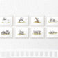 Safari Nursery Prints New Baby Shower Gift Boy Girl Elephant Animal Wall Art Set Playroom Decor