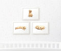 Golden Retriever Nursery Prints Set of 3