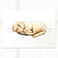 Dog Nursery Prints New Baby Shower Gift Boy Girl Golden Retriever Sleeping Wall Art Playroom Decor