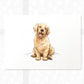 Golden Retriever Print