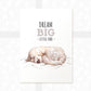 Goldendoodle Dog Nursery Print "Dream Big Little One"