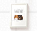 Guinea Pig Print "A House is not a Home without Guinea Pigs"