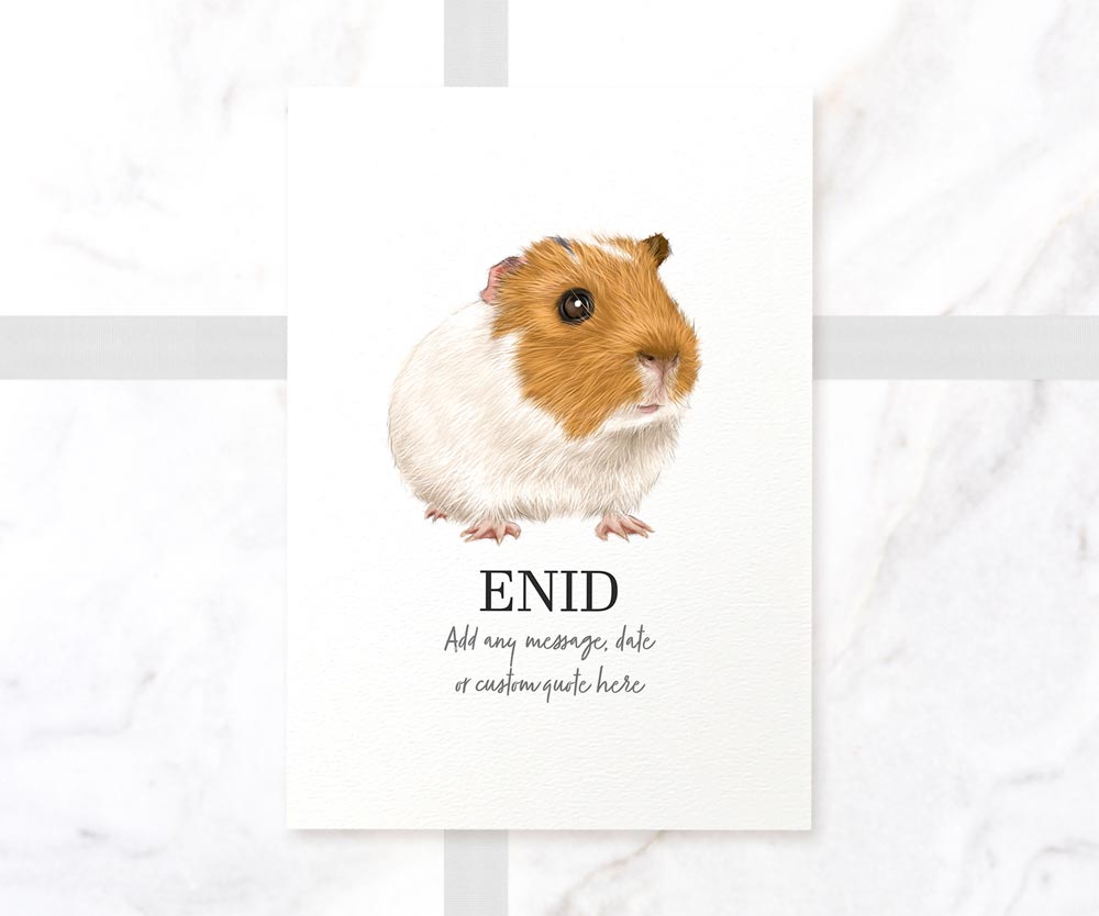 Guinea pig handmade wall art illustrated A3 print with personalised fur colours and pet name Enid