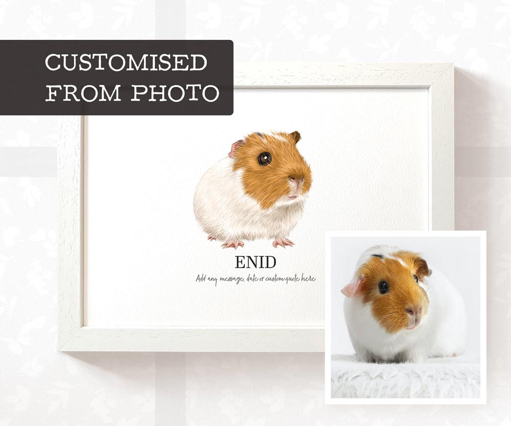 Guinea pig art print in A4 white wood frame with personalised fur colours and pet name