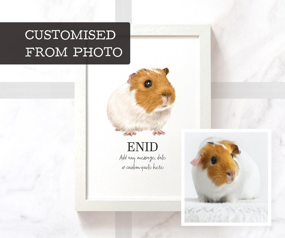 Guinea pig art print in A3 white wood frame with personalised fur colours and pet name