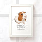A3 framed tricolour guinea pig wall art print with personalised message and pet name Percy