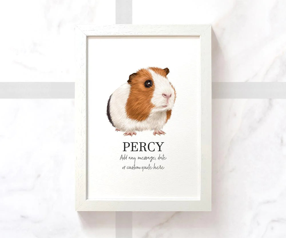 Smooth coat white red and black guinea pig illustrated and framed A4 print with pet name