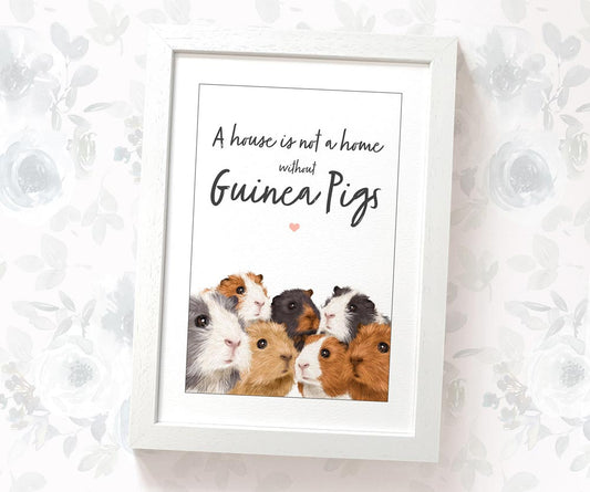 A house is not a home without guinea pigs A4 framed illustrated art print with quote