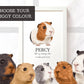 Tricolour Guinea pig wall art print in A3 frame with personalised message and pet name Percy