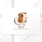 Tricolour guinea pig illustrated A4 unframed wall art print with pet name Percy in landscape orientation